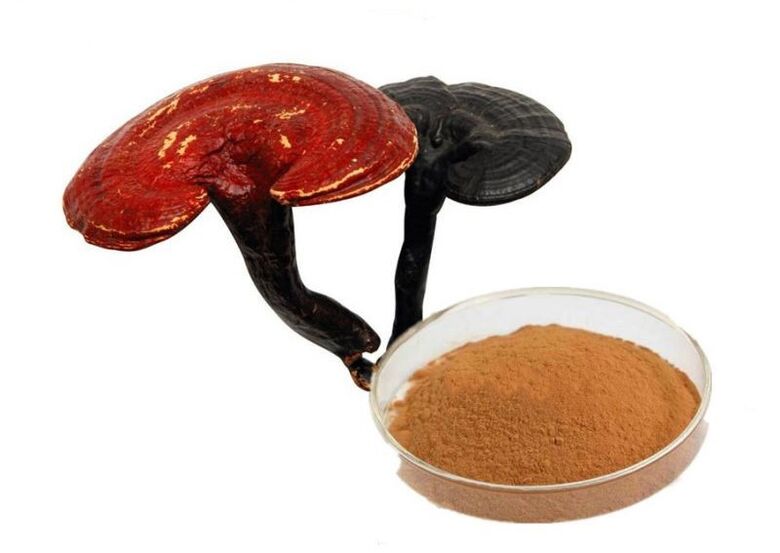 Reishi Mushroom Extrait Kapselen Prostamin Forte