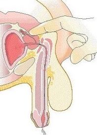 Prostata Massage